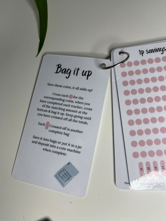 BAG IT UP coin savings