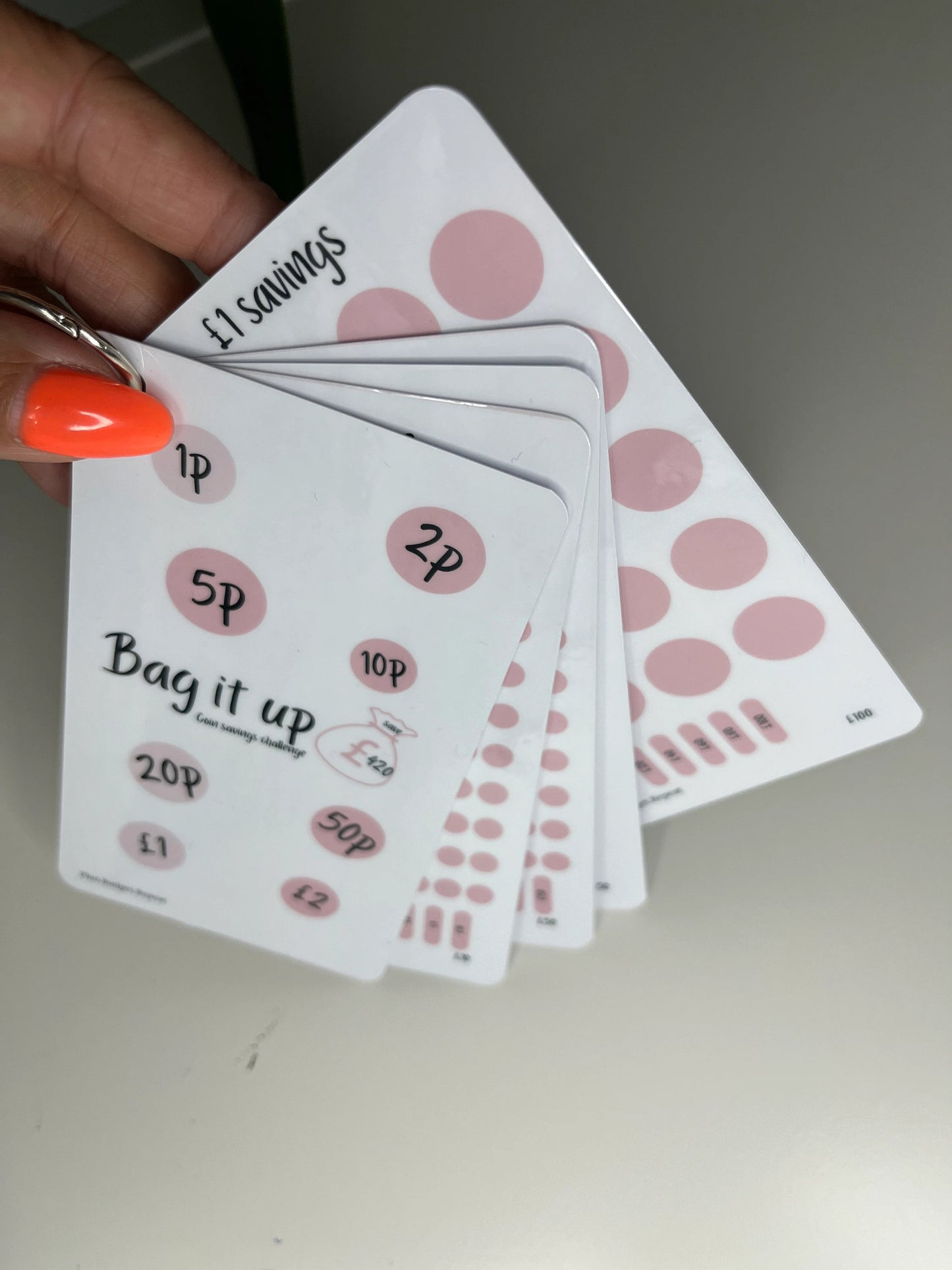 BAG IT UP coin savings